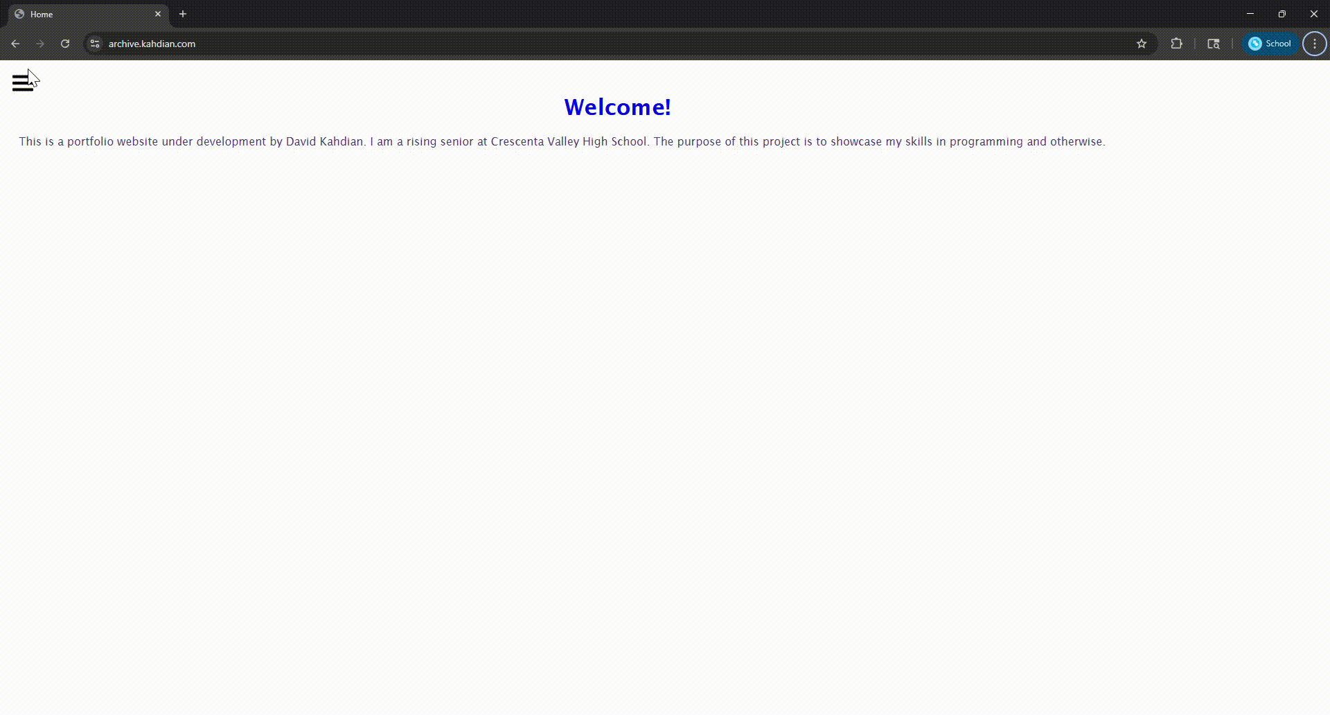 Archive portfolio website with animated sidebar
